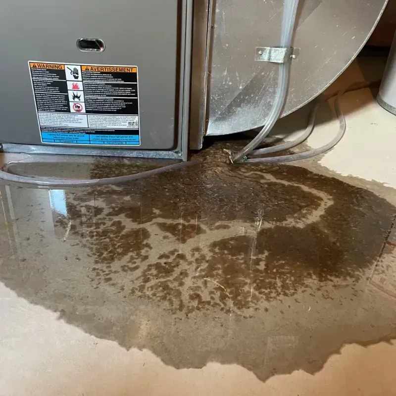 Appliance Leak Cleanup in Manson, IA